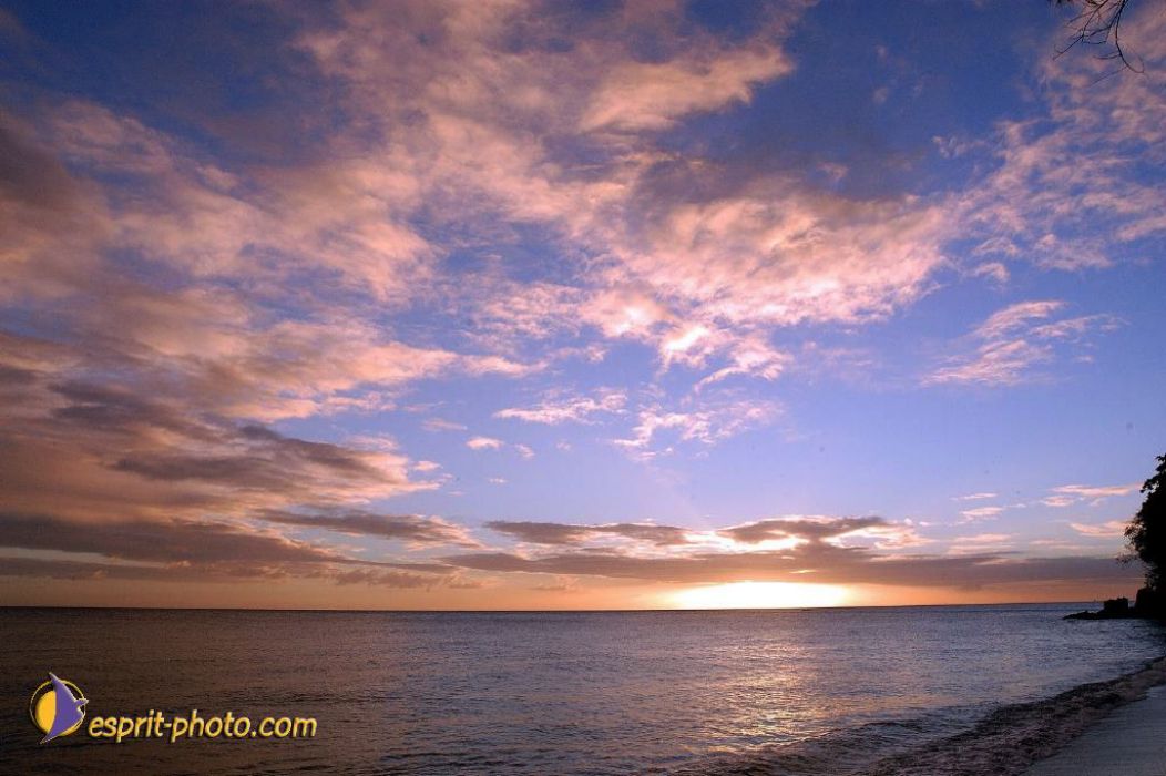 Nom de l'image : EP08-0355_(c)Norbert-JUNG — Description :